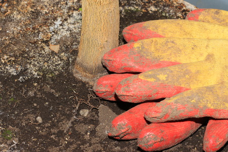 Gloves soiled with earth