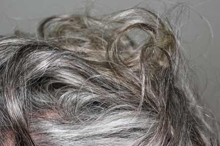 gray hairの写真素材