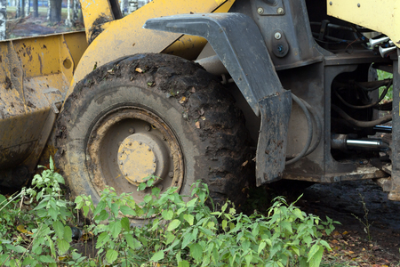 the bulldozer leveled the groundの写真素材