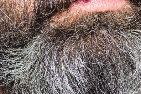 Gray beard menの写真素材