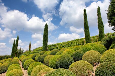 Gardenの写真素材