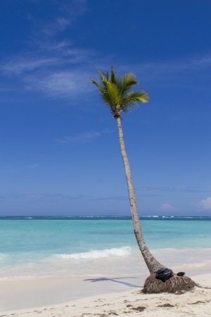 Tropical beachの写真素材