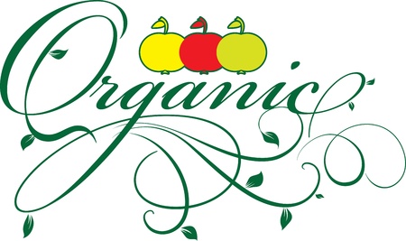 Organic foodのイラスト素材