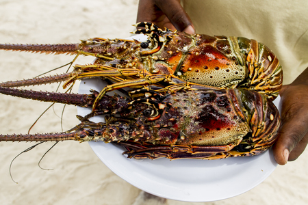 Seafoodの写真素材