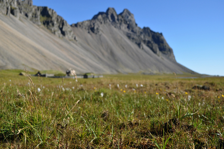 Iceland mountains の写真素材