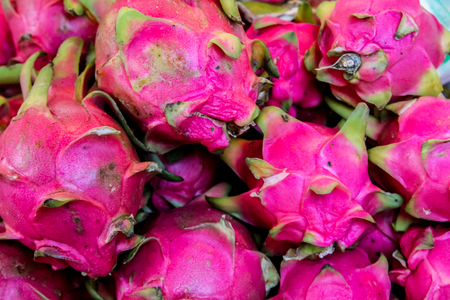 Pitaya Dragon Fruitの写真素材