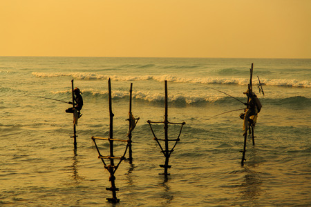 UNAWATUNA, SRI LANKA - JANUARY 25, 2014: Unidentified stilt fishermen at Unawatuna, Sri Lanka. Stilt fishing is special to Galle district and thereare about 500 fishing families in the coastal belt.のeditorial素材