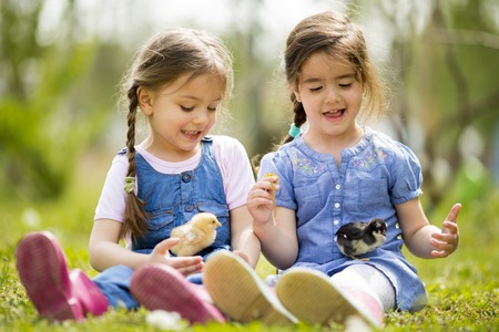Two little girls with chickensの写真素材