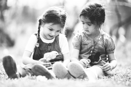 Two little girls with chickensの写真素材