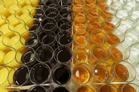 Glassesの写真素材