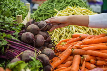 Vegetable on the marketの写真素材