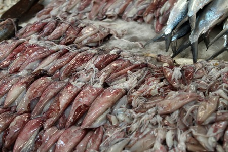 Fish market in Dubaiの写真素材