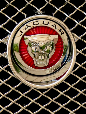 DENVER, USA - JUNE 5, 2014: Detail of the Jaguar car in Denver. Jaguar cars  is a brand of Jaguar Land Rover,[6] a British multinational car manufacturer founded at 1922.のeditorial素材