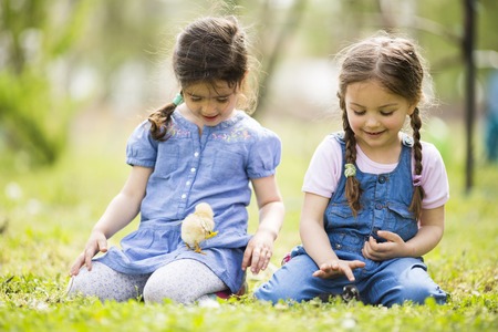 Two little girls with chickens