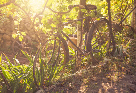 Vintage bicycleの写真素材