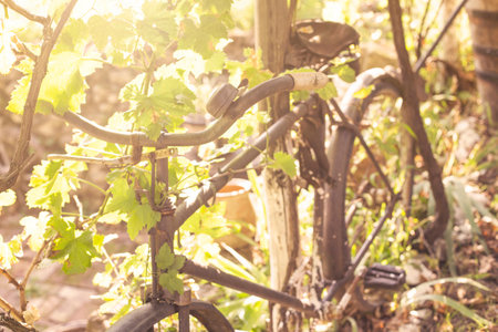 Vintage bicycleの写真素材