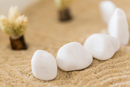 Zen sand gardenの写真素材