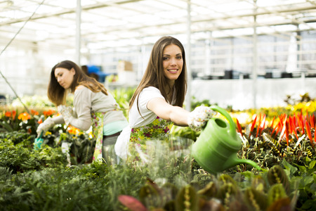 Young women in flower gardenの写真素材