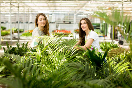 Young women in flower gardenの写真素材