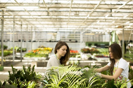 Young women in flower gardenの写真素材