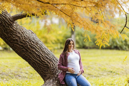 Young pregnant woman in the autumn parkの写真素材