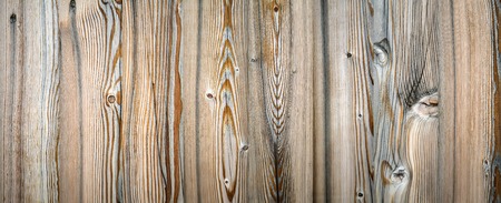 Close up view at wooden textureの写真素材