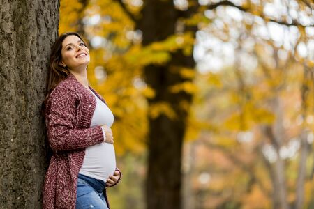 Young pregnant woman in the autumn parkの写真素材