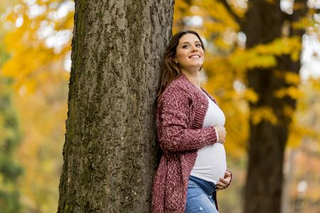 Young pregnant woman in the autumn parkの写真素材