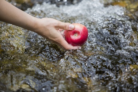 Washing an apple in the clear mountain streamの写真素材