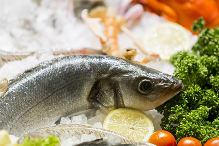 Seafoodの写真素材