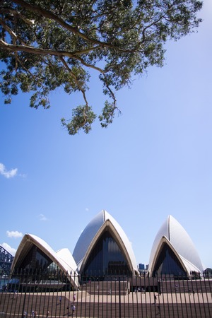 SYDNEY, AUSTRALIA - FEBRUARY 12, 2015: View at Sidney opera house in Sydney, Australia. It was Designed by Danish architect Jorn Utzon and was opened at October 20, 1973.のeditorial素材
