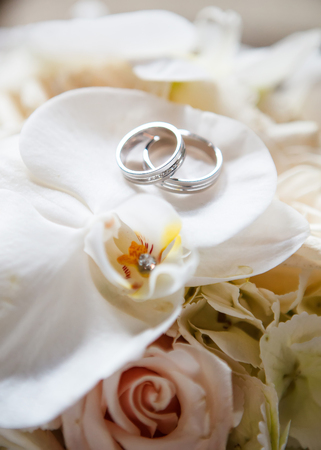 Wedding rings on the rosesの写真素材