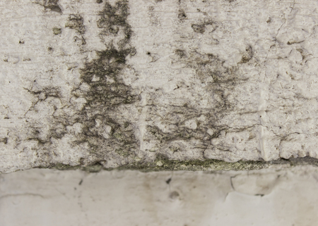 Detail of the old stone wallの写真素材