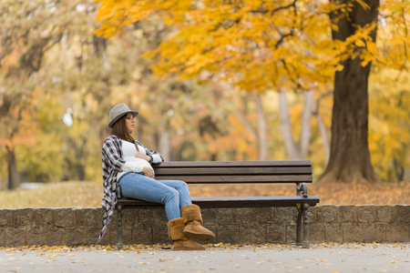 Young pregnant woman in the autumn parkの写真素材