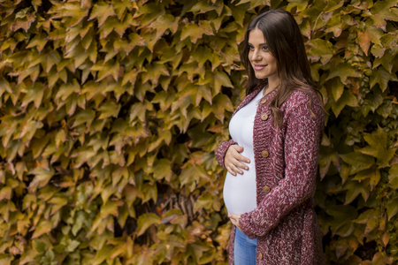 Young pregnant woman in the autumn parkの写真素材