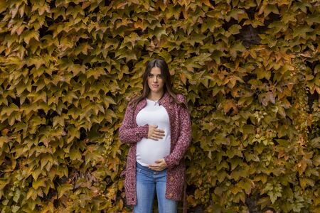 Young pregnant woman in the autumn parkの写真素材