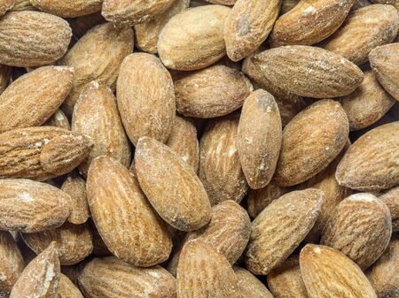 Almondsの写真素材