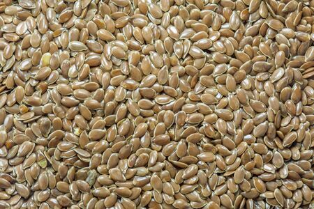 Flax seedの写真素材