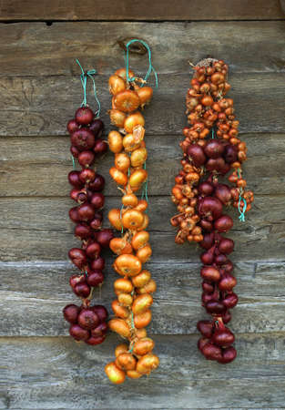 Onionsの写真素材