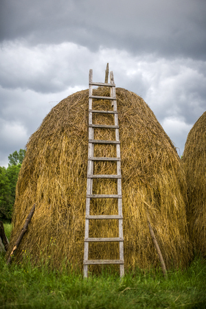 View at the hayの写真素材