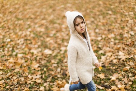 Little girl in the autumn parkの写真素材