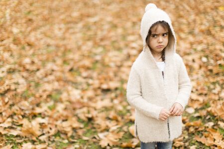 Little girl in the autumn park