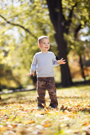 Little boy at the autumn parkの写真素材