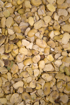 Argan seeds on the Agadir market in Morocco