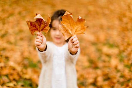 Little girl in the autumn park