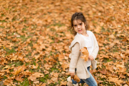 Little girl in the autumn parkの写真素材