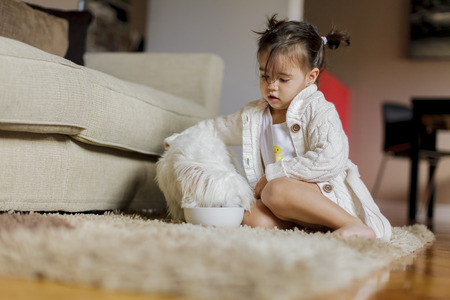 Little girl with a dogの写真素材