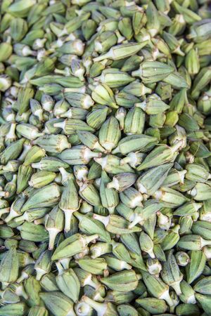 Herbs at market in Marrakesh, Moroccoの写真素材
