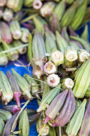 Fresh okra at market in Rabat, Moroccoの写真素材