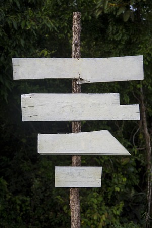 Empty signboards in the forest in Thailandの写真素材